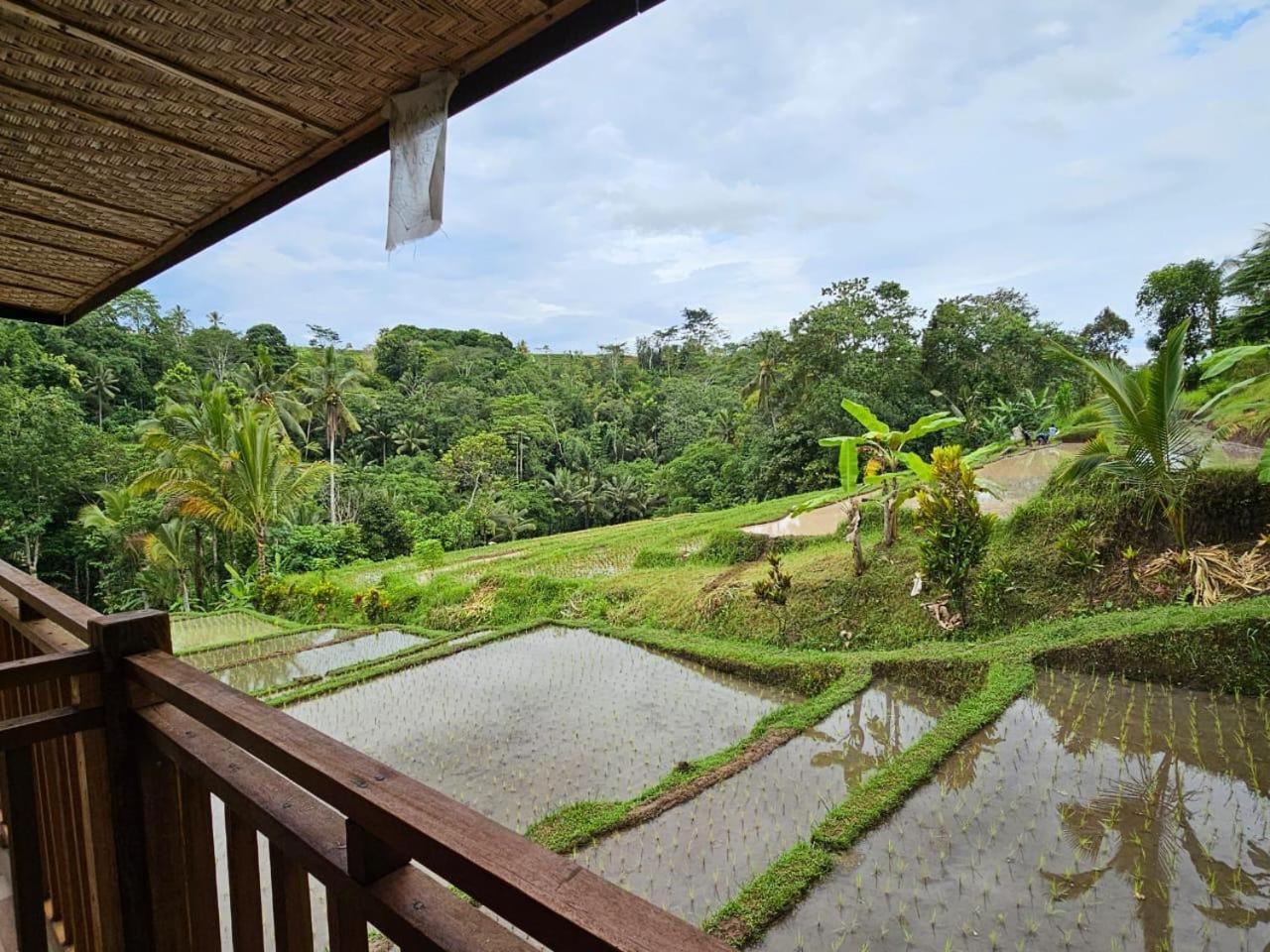 Villa Umauthu Bali à Selemadeg Extérieur photo